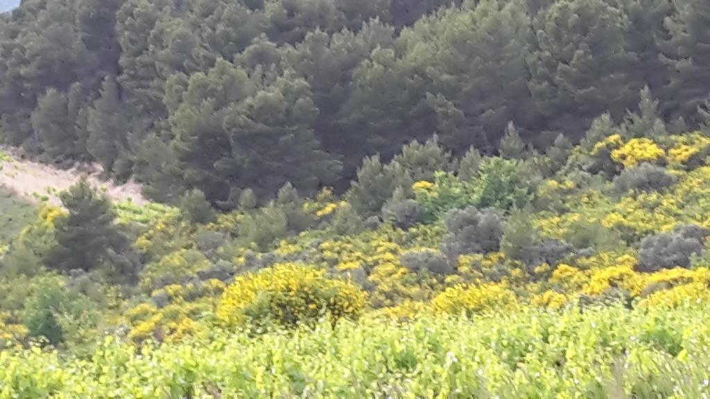Le Relais Des Dentelles Guest house